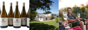 Sebastian Beaumont - Beaumont Family Wines