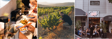 John Seccombe - Thorne & Daughters Wines