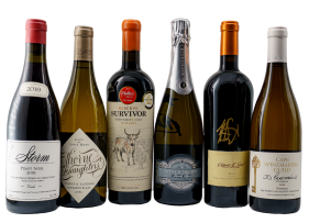 Celebration Dinner Collection