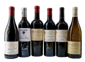 The 15l17 Collection
