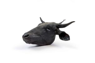 Angus Taylor; Disproportions of Inflation-African Vanitas, Disproportion of Inflation series