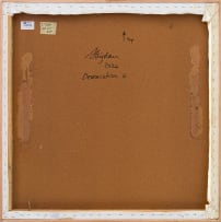 Strijdom van der Merwe; Demarcation 4