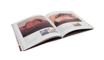 Strauss & Co; JH Pierneef: In/Sight: A Single-Artist Dedicated To A Modernist Master