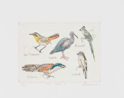 Claudette Schreuders; My Voëls I (My Birds I)