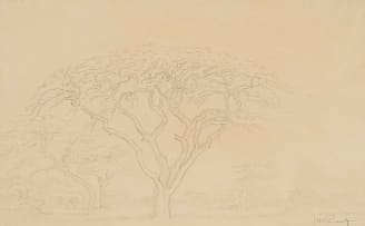 Jacob Hendrik Pierneef; Bushveld Landscape with Acacia Tree