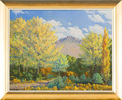 Vera Volschenk; Autumn Kookfontein - Victoria West