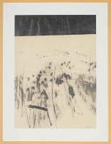 Andrew Verster; Abstract