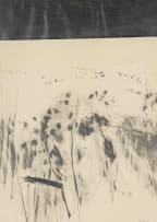Andrew Verster; Abstract
