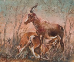 François Krige; Blesbuck