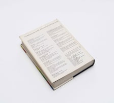 Esmé Berman; Art & Artists of South Africa