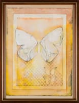 Michael Heyns; Butterfly Wings