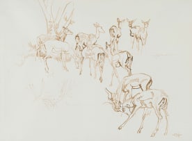 Zakkie Eloff; Herd of Impala