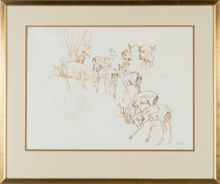 Zakkie Eloff; Herd of Impala