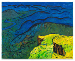 Brian Bradshaw; The Tugela