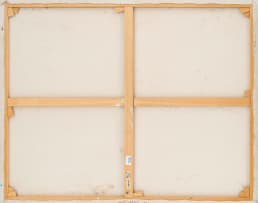 Brian Bradshaw; The Tugela