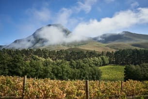 Ataraxia; ‘Sympathy For The Pinot’ Pinot Noir; 2024; 12 (2 x 6); 750ml