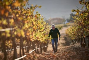 Graham Beck; CWG Extra Brut Chardonnay Pinot Noir Cap Classique; 2018; 36 (6 x 6); 750ml