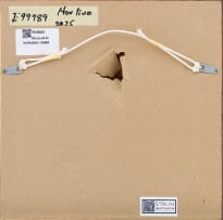 Jake Aikman; Untitled (Seascape)