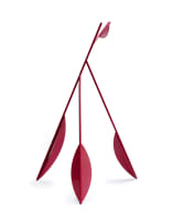 Strijdom van der Merwe; Leaf