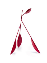 Strijdom van der Merwe; Leaf