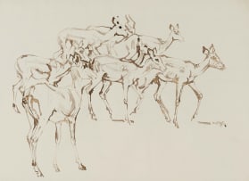 Zakkie Eloff; Impala