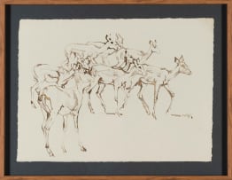 Zakkie Eloff; Impala