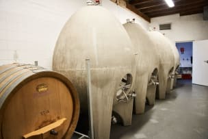 Savage Wines; Auction Syrah; 2023; 12 (2 x 6); 750ml