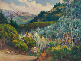 Hugo Naudé; Silver Trees at Kirstenbosch, Cape