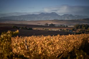 Raats Family Wines; Fountain Terroir Specific Chenin Blanc; 2024; 36 (6 x 6); 750ml