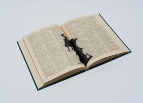 William Kentridge; Lexicon