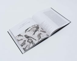 Bronwyn Law-Viljoen (ed); William Kentridge: Flute