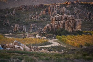 Cederberg; Black Slate Shiraz; 2023; 12 (2 x 6); 750ml