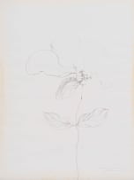 Judith Mason; Monkey Touching a Flower