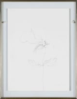 Judith Mason; Monkey Touching a Flower