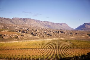 Cederberg; Black Slate Shiraz; 2023; 12 (2 x 6); 750ml