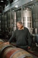 Solo Wines; Auction Cabernet Sauvignon; 2023; 12 (2 x 6); 750ml