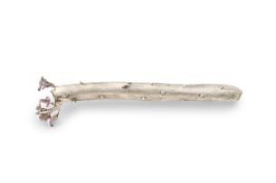 Liz Loubser Candle plant 'Senecio Articulatus' brooch