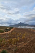 Warwick; Auction Cabernet Franc - Cabernet Sauvignon; 2022; 12 (2 x 6); 750ml