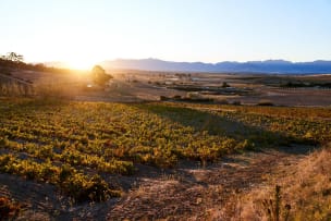 AA Badenhorst Family Wines; ‘Out Of The Strong Comes Forth Freshness’ Carignan; 2024; 12 (2 x 6); 750ml