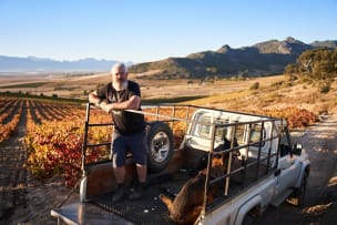 AA Badenhorst Family Wines; ‘Out Of The Strong Comes Forth Freshness’ Carignan; 2024; 12 (2 x 6); 750ml