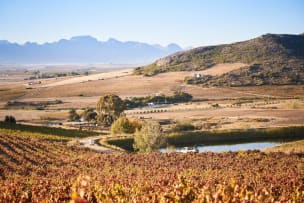 AA Badenhorst Family Wines; ‘Out Of The Strong Comes Forth Freshness’ Carignan; 2024; 12 (2 x 6); 750ml