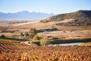 AA Badenhorst Family Wines; ‘Out Of The Strong Comes Forth Freshness’ Carignan; 2024; 12 (2 x 6); 750ml