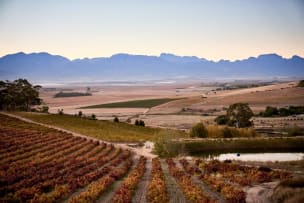 AA Badenhorst Family Wines; ‘Out Of The Strong Comes Forth Freshness’ Carignan; 2024; 36 (6 x 6); 750ml