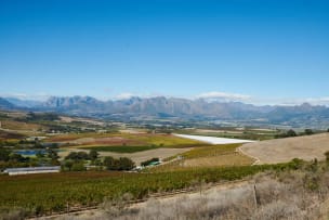 Jordan Wine Estate; CWG Chardonnay; 2024; 12 (2 x 6); 750ml