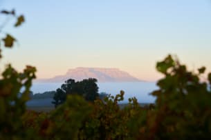 De Grendel Wines; Op Die Berg Pinot Noir; 2023; 36 (6 x 6); 750ml