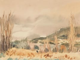Nerine Desmond; Scenes of Hout Bay