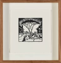 Johan Stegmann; Breëstr. Boom (Broadstreet Tree)