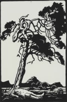 Johan Stegmann; Rooi Vlagboom (Red Flag Tree)