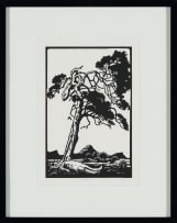 Johan Stegmann; Rooi Vlagboom (Red Flag Tree)