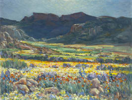Hugo Naudé; Namaqualand, Springtime